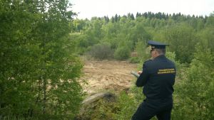 Госадмтехнадзор поблагодарили за помощь в ликвидации свалки  на территории  Солнечногорского района