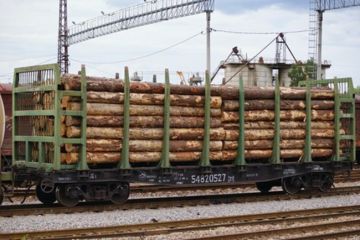 Китайские контрабандисты вывезли из России леса на 2 млрд. рублей.