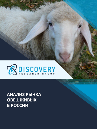 Анализ рынка овец в России