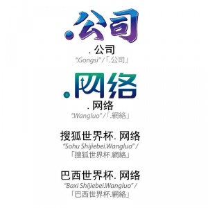CNNIC и IP Mirror запускают китайские версии «.COM» и «.NET»