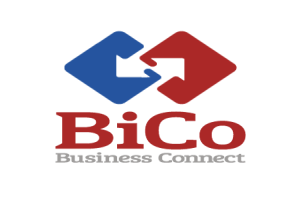 Компания «Бико» запустила инновационную для тендерной сферы технологию «Аналитика»