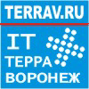 IT Terra Воронеж