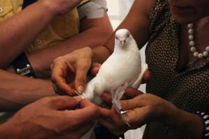 У павильона «Алтарь наций» сотня белоснежных голубей унесла в небо заветные желания одесситов
