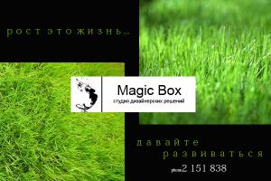 Magic Box, Студия дизайнерских решений
