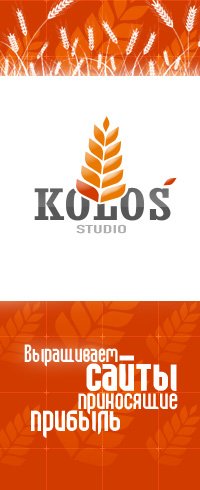 «Kolos Studio» - пять лет успешной работы на рынке сайтостроительства