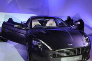Aston Martin признан самым крутым брендом