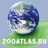 ZooAtlas.ru открыл календарь событий