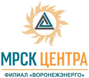 Воронежэнерго предупреждает об опасности неправильной эксплуатации автономных источников питания