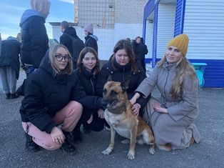 Кинологи Росгвардии раскрыли секреты подготовки служебных собак будущим кинологам и ветеринарам Томской области