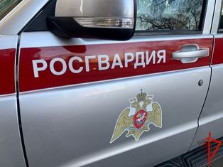 Росгвардейцами в Томске задержан осужденный за преступление, уклонявшийся от отбывания наказания