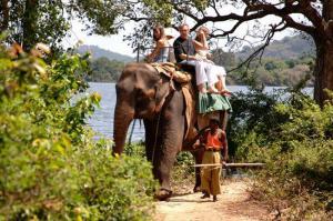 Экскурсионные туры на Шри Ланку от туроператора ICS Travel Group