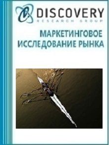Анализ рынка лодок для академической гребли в России