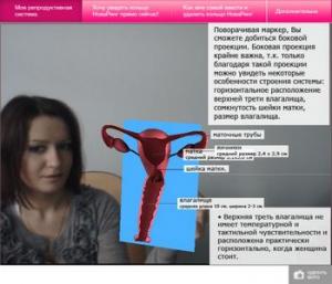 Обучающая интерактивная программа «О женщине в 3D»