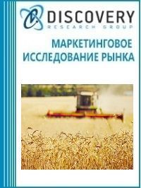 Анализ рынка сельского хозяйства в России