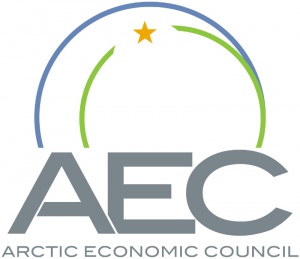 Делегаты Арктического экономического совета закладывают фундамент для будущего процветания
