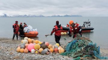 Что делают мигранты в Арктике?