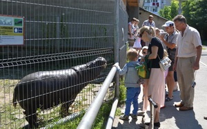 UNITILE организовал поездку в зоопарк для сотрудников