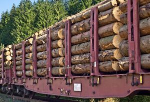 ПГК увеличивает отправку леса на экспорт с Западно –Сибирского региона