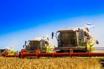 Холдинг “Солнечные продукты” увеличил урожайность пшеницы