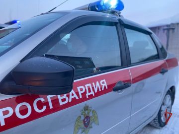 Сотрудники Росгвардии предотвратили кражу с охраняемого объекта в Томске