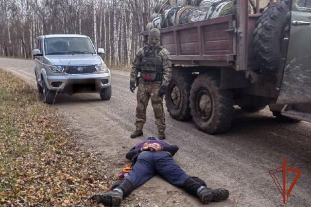 При силовой поддержке спецназа Росгвардии пресечена противоправная деятельность двух «черных лесорубов» в Томской области