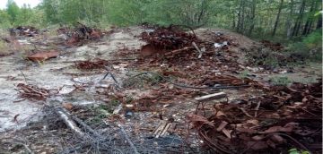 Эколога Александра Найденова обвинили в краже мусора