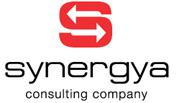 Synergya, Консалтинговая компания