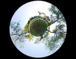 Интерактивная 3D-панорама Лошицкого парка