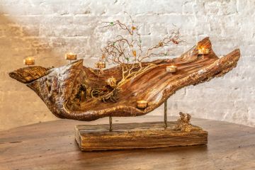 Выставка работ Александра Чеглакова  «Дыхание природы» на празднике Ту Би-Шват