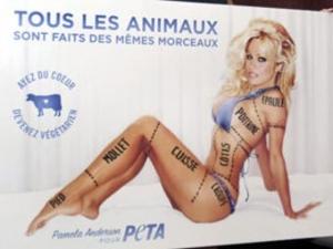 Рекламу с "окороком" Памелы Андерсон запретили как сексистскую