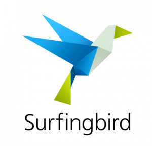 Surfingbird.ru покажет вам все самое интересное в Сети