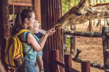 Скидку 10% на посещение зоопарка «Лимпопо» дарит Marins Park Hotel Нижний Новгород