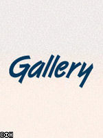 Gallery накупит на 145 миллионов