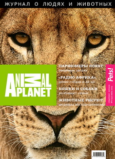 Pets! & Animal Planet