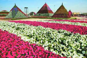 В Дубае открыт самый большой в мире парк цветов