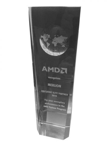 Корпорация AMD наградила MERLION
