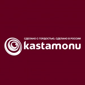 Компания KASTAMONU планирует начать строительство второй очереди завода в Татарстане
