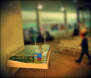 «Семь озер» в международном аэропорту «Стригино»