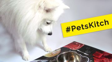 PetsKitch - новое явление в среде домашних питомцев Украины