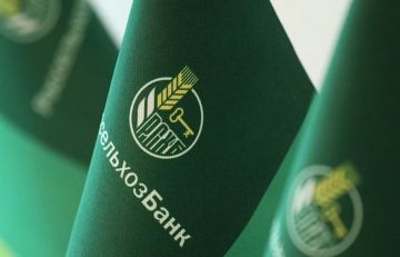 Россельхозбанк: объем инвестиций в крупнейшие инвестпроекты в сегменте зерновых в РФ превысит 300 млрд рублей до 2030 года