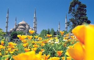 Отдых в Турции может быть роскошным с RentinTurkey и PayOnline