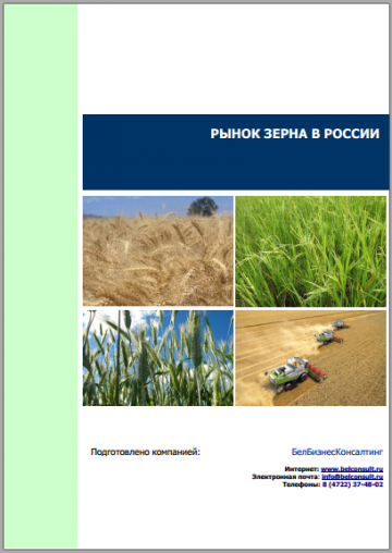 Анализ рынка зерна в России 2018