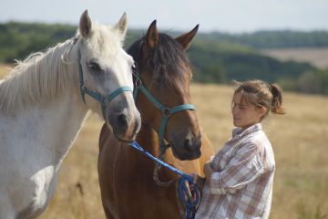 Белгородская студентка разработала метод лечения для спасения жизни лошадей