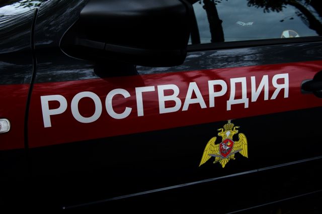 В Челябинске росгвардейцы задержали подозреваемую в нанесении ножевого ранения мужу