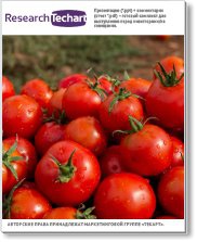 Маркетинговое исследование российского рынка свежих огурцов и томатов