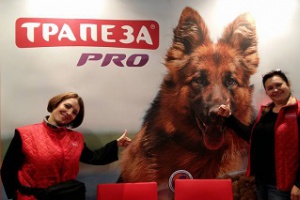 Завершилась выставка собак всех пород «Россия-2015»