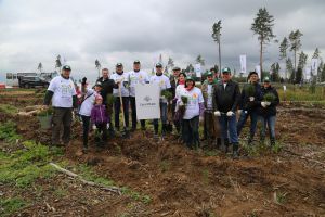 100 тысяч саженцев подмосковному лесу от строителей: «Сити-XXI век» приняла участие в благотворительной экологической акции «Наш лес»