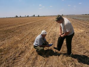 О нарушениях плодородия почв на юге России в первой половине 2016 г.