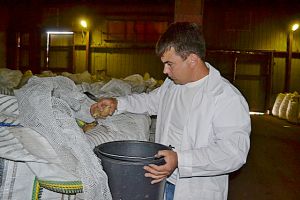 447 случаев заражения сельхозпродукции выявлено в РО за июль 2016 г.