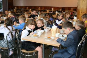 У школьников могут отнять льготное питание